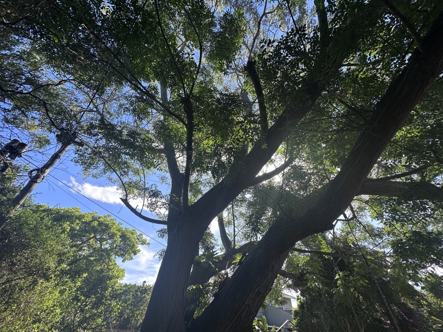 4 Bedroom Property for Sale in The Island Western Cape